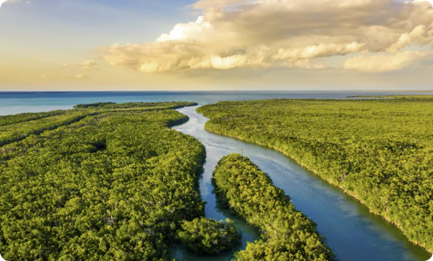 Everglades National Park